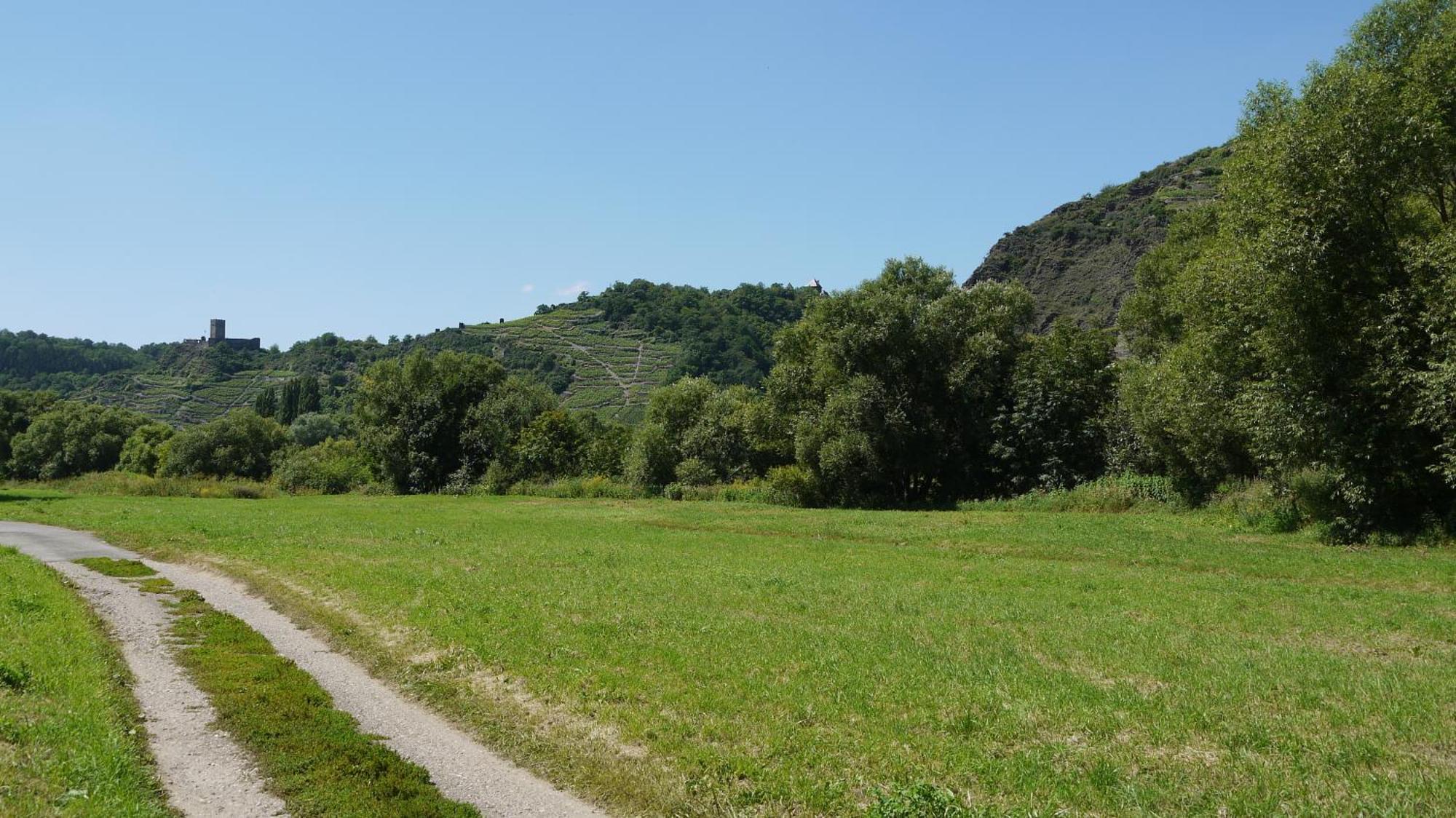 Hotel-Garni-Kachelburg 迪布利希 外观 照片