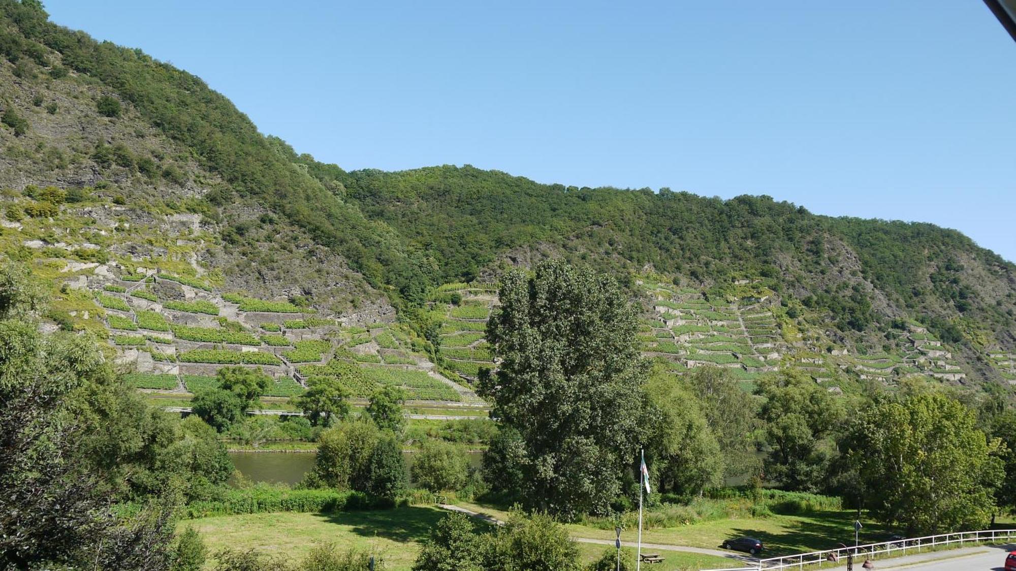 Hotel-Garni-Kachelburg 迪布利希 外观 照片